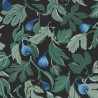 Borastapeter|Papel pintado floral con higos, fondo negro|Papel Pintado