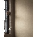 Borastapeter|Papier peint géométrique vagues style classique contemporain beige|Contemporain