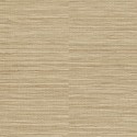 Grandeco|Papier peint effet raphia jonc ou canne beige|Imitation Raphia