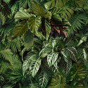 Grandeco|Large exotic green leaf wallpaper|Wallpaper