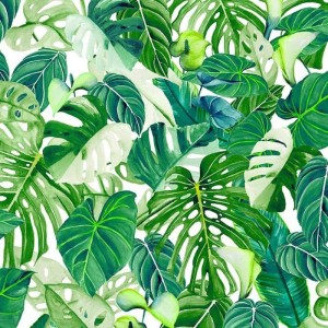 As Creation|Wallpaper parrots and tropical plants with beige background|Tropical