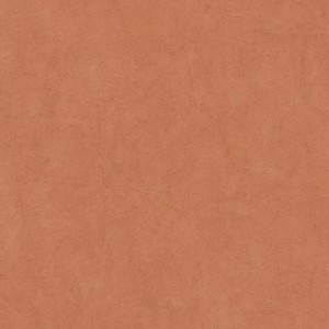 Casadeco|Papier peint effet stuc à la chaux gris clair|Imitation Stuc
