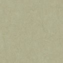 Casadeco|Sage green wallpaper with stucco finish|Stucco Imitation