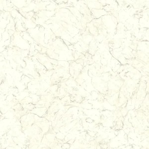 Casadeco|Papier peint style zen feuilles de bambou noir|Papier Peint
