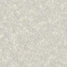 Casadeco|Papier peint marbre gris clair effet réaliste|Imitation Marbre