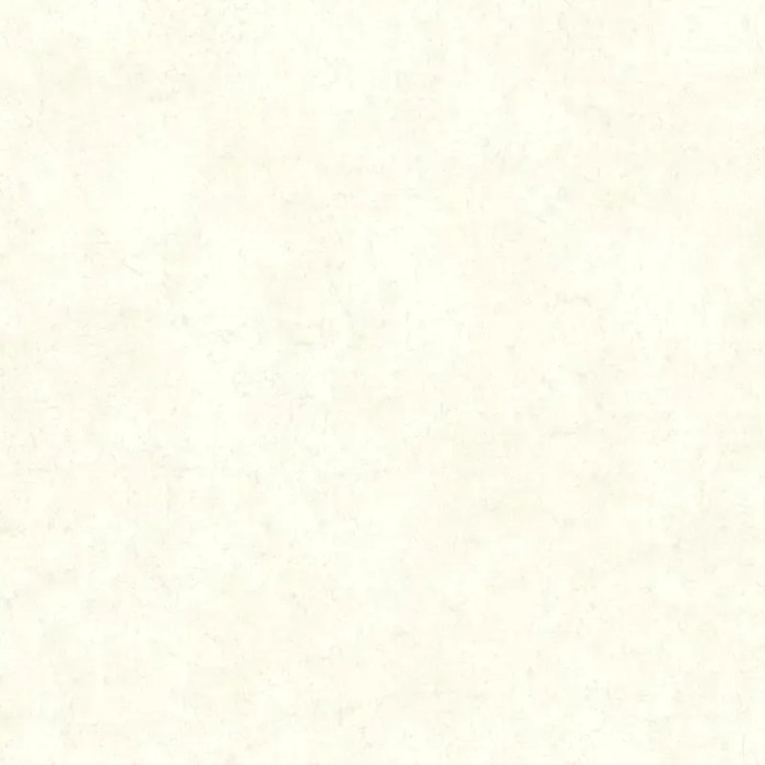 Papel pintado efecto pared de yeso blanco - Casadeco Minerals 88090101