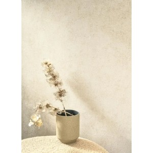 Casadeco|Graue Stucktapete mit modernem Putz-Look|Stuckimitat 2