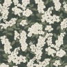 Casadeco|Japanische Tapete mit Kirschblüten und grünen Pfingstrosen|Japanische Blumen