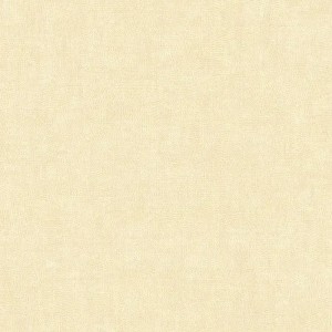 Borastapeter|Papier peint Rose des Vents nautique|Papier Peint