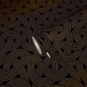 Architects Paper|Modern wallpaper in black and gold with interlaced shapes|Art Deco