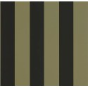 Caselio|Papier peint rayures larges bicolores vert et noir|Rayures