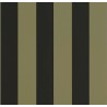 Caselio|Papier peint rayures larges bicolores vert et noir|Rayures
