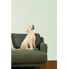 Caselio|Papier peint textile vert clair|Papier Peint