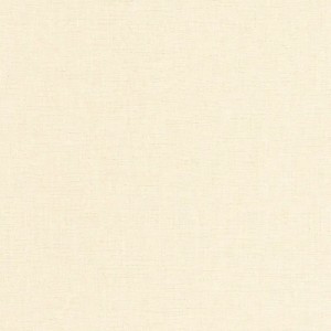 Casadeco|Papier peint stuc beige-gris, style rustique moderne|Papier Peint