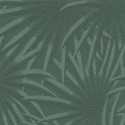 As Creation|Wallpaper green palm leaves|Wallpaper