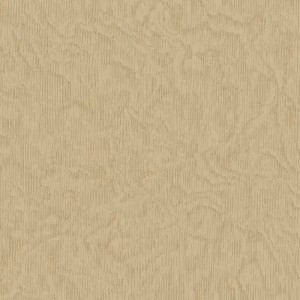 Eijffinger|Papier peint intemporel stuc vagues de sable gris clair|Papier Peint