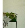 Eijffinger|Scandinavian wallpaper with tropical plants in green|High-End