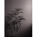 Borastapeter|Wallpaper rustic chalk effect plain in greyish purple|Wallpaper