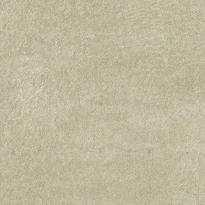 Borastapeter|Tapete skandinavisch Wald Fichten beige weiß|Tapeten