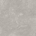 Borastapeter|Papier peint uni effet plâtre chaulé gris antique|Contemporain