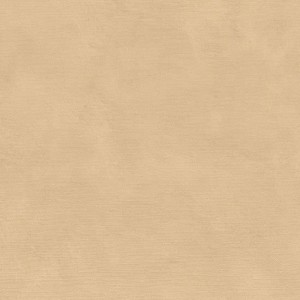 Casamance|Papier peint stuqué taupe peinture à la chaux|Imitation Stuc
