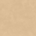 Casamance|Papier peint stuc beige grillé effet chaux|Papier Peint