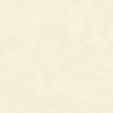 Casamance|Papier peint stuc beige nacré effet chaux|Papier Peint