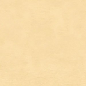 Casamance|Wallpaper stucco ash grey lime wash|Stucco Imitation
