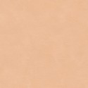 Casamance|Papier peint stuc orange effet chaux|Papier Peint