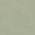 Casamance|Papier peint stuc vert chaulé|Papier Peint