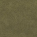 Casamance|Papier peint stuc vert kaki effet chaux|Papier Peint
