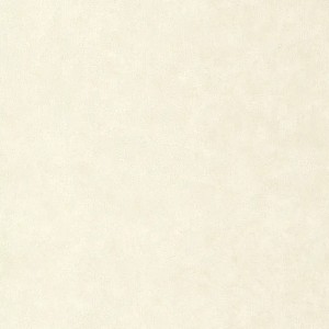 Papeldecor|Papier peint effet plâtre beige|Papier Peint