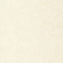 Caselio|Papier peint effet mur brut|Papier Peint