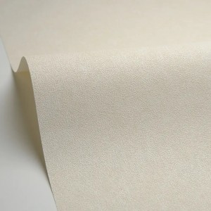 Caselio|Cream wall effect wallpaper|Wallpaper 2