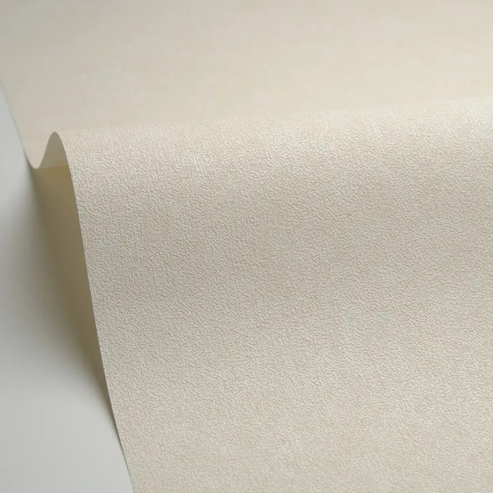 Caselio|Raw wall effect wallpaper|Wallpaper