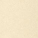 Caselio|Papier peint effet mur beige|Papier Peint