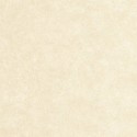 Caselio|Cream wall effect wallpaper|Wallpaper