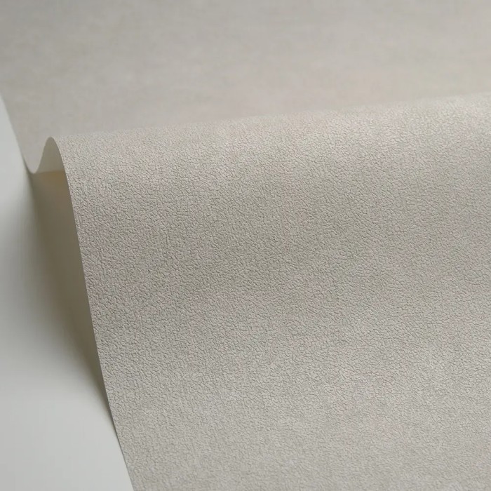 Caselio|Papier peint effet mur gris taupe|Papier Peint