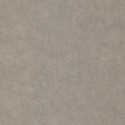 Caselio|Papier peint effet mur taupe|Papier Peint