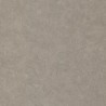 Caselio|Papier peint effet mur taupe|Papier Peint