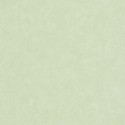 Caselio|Plain green wall effect wallpaper|Wallpaper
