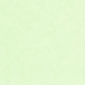 Caselio|Papier peint effet mur vert menthe brillant|Papier Peint