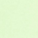 Caselio|Papel pintado efecto pared verde lima|Papel Pintado