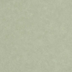Papeldecor|Wandtapete mit strukturierter Putzoptik in Beige mit Glanz|Tapeten