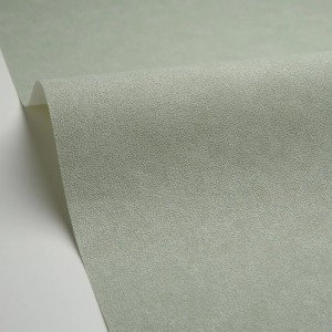 Papeldecor|Wandtapete mit strukturierter Putzoptik in Beige mit Glanz|Tapeten 2