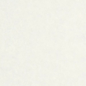 Caselio|Papier peint effet mur gris clair|Papier Peint