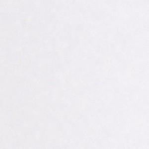 Caselio|Papier peint effet mur gris étain|Papier Peint
