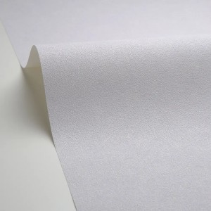 Caselio|Papier peint effet mur gris étain|Papier Peint 2