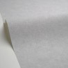 Caselio|Papier peint gris effet mur texturé|Imitation Stuc