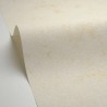 Caselio|Papier peint effet mur blanc brut et doré|Imitation Stuc